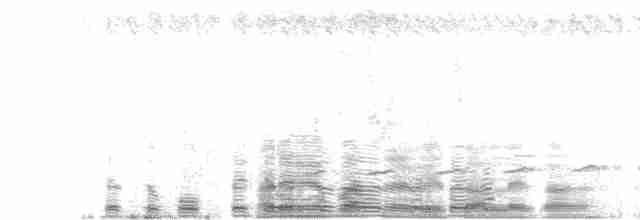 Зозуля-дронго вилохвоста - ML608555629