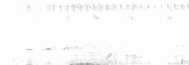 Зозуля-дронго вилохвоста - ML608555672