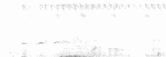 Fork-tailed Drongo-Cuckoo - ML608555673