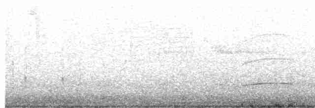 Тиран-крихітка світлогорлий - ML608558321