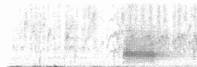Ara hyacinthe - ML608561894