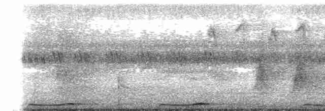 Сова-голконіг далекосхідна - ML608562075