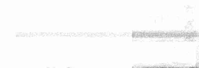 Bar-crested Antshrike - ML608562575