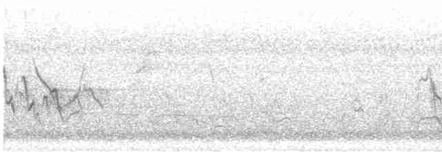 Tinamou à petit bec - ML608566472