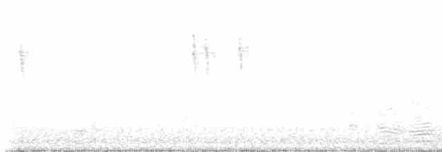Тихоокеанский крапивник - ML608568021