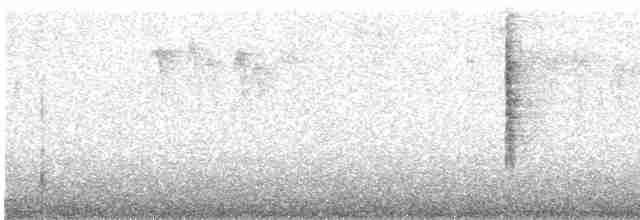 Common Yellowthroat - ML608571910