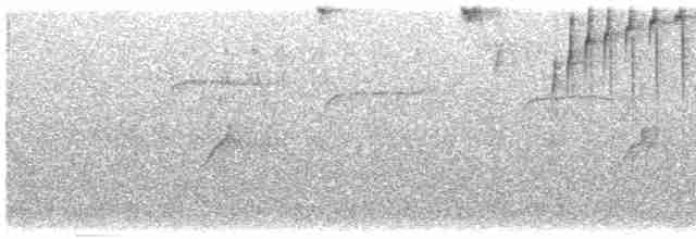 Черноухий колибри - ML608574698