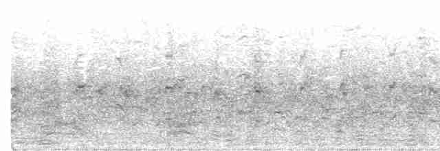 אנפית בקר מערבית - ML608576317