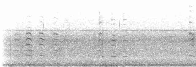 אווז לבן-מצח (מערבי) - ML608578437