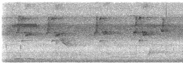 Ерміт прямодзьобий (підвид bourcieri) - ML608586103