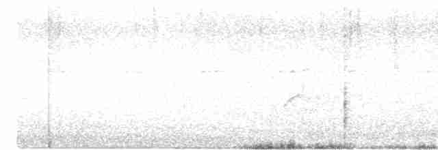 太平洋金斑鴴 - ML608593591