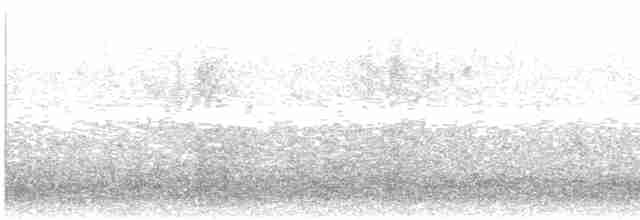 Bec-croisé des sapins (type 2) - ML608597678