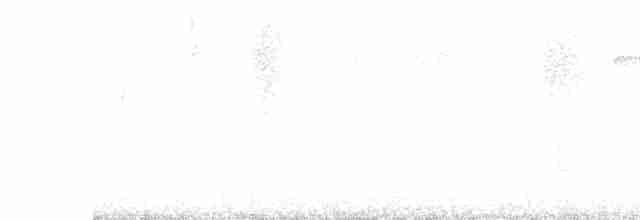 Black-throated Gray Warbler - ML608602199