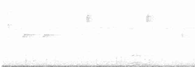 "Шишкар ялиновий (Northeastern, або тип 12)" - ML608604922