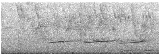 Тиран-крихітка світлогорлий - ML608605005