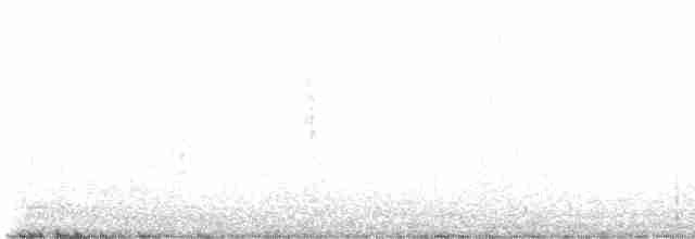White Wagtail - ML608605529