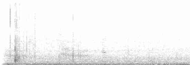 White Wagtail - ML608605530