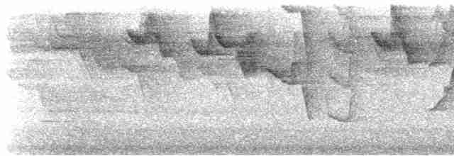 Гвианский колибри-отшельник - ML608608113