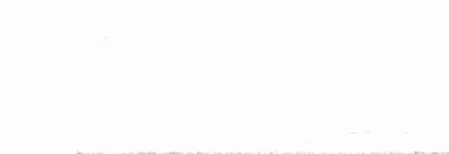 White-naped Brushfinch - ML608608714