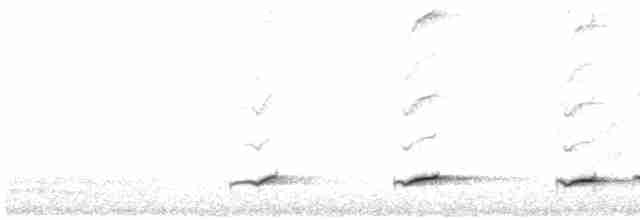 Weißbrauen-Ameisenpitta - ML608611706