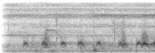 Анаперо смугастохвостий (підвид latifascia) - ML608611805