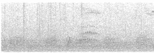 Дрізд-короткодзьоб Cвенсона - ML608613402