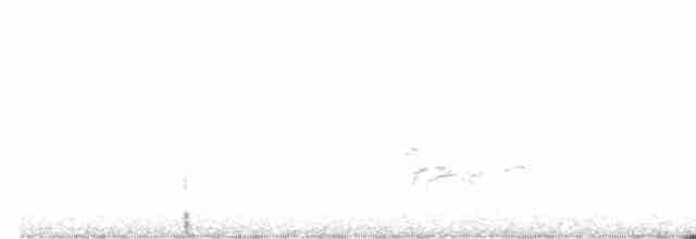 Gri Yanaklı Bülbül Ardıcı - ML608630576