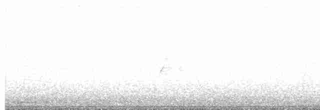 斑胸秧雞 - ML608638796