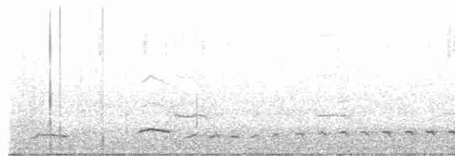 Meisenhäher (obscurus/griseus) - ML608649184