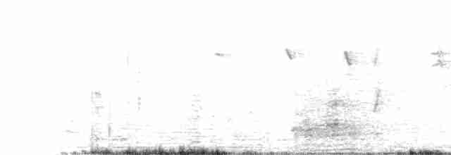 Black-crowned Night Heron - ML608649364