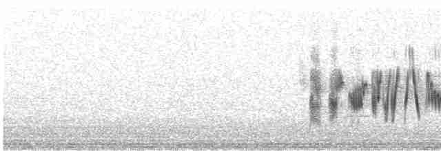 Eastern Black-eared Wheatear - ML608653602