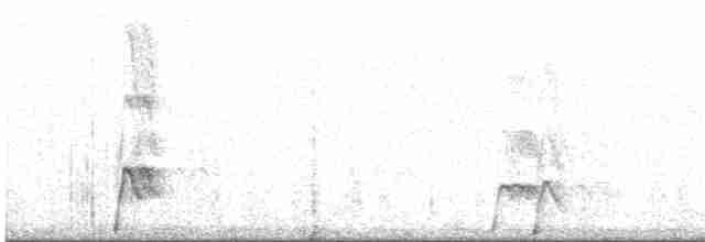Elegant Crested-Tinamou - ML608667540
