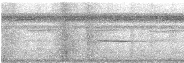 Troglodyte siffleur - ML608677263