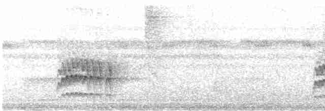 brunkinnskogtrost (swainsoni gr.) - ML608678782
