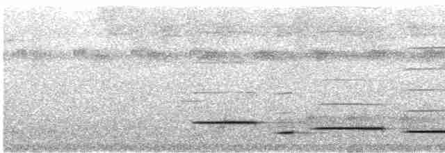 Troglodyte arada (modulator) - ML608678939