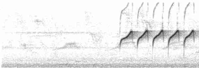 Тиран-карлик амазонійський - ML608678973