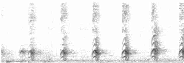 Toucanet à gorge blanche (cyanolaemus) - ML608679663