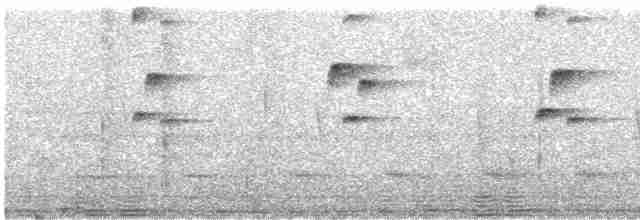 Пестрогрудый тираннчик - ML608680085