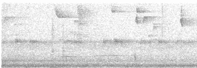 Тиранчик-довгохвіст жовточеревий - ML608680122