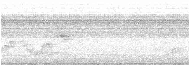 Дрізд-короткодзьоб Cвенсона - ML608684178