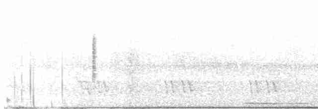 Борнейская воронья кукушка - ML608697102