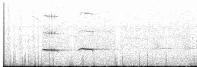 Striped Cuckoo - ML608697973