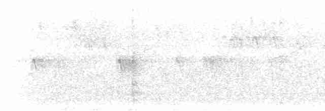 "Шишкар ялиновий (Western Hemlock, або тип 3)" - ML608699075