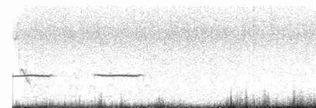 Tinamou sauvageon - ML608699364