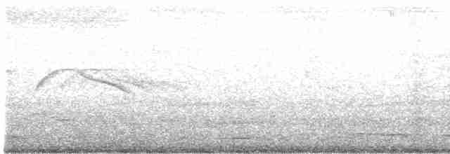 Weißschwanz-Nachtschwalbe - ML608702574