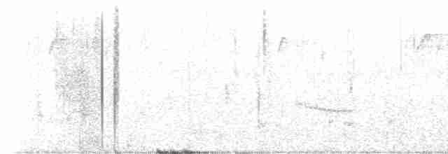 Common Tern - ML608709561