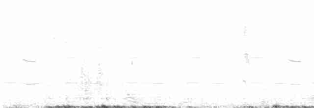 クリエリムジアマツバメ - ML608710254