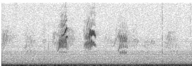 vlaštovka pestrá [skupina pyrrhonota] - ML608711072