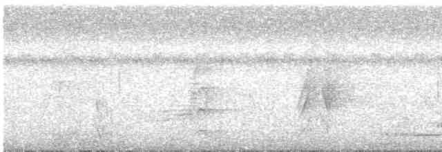 Oriole Whistler - ML608714993