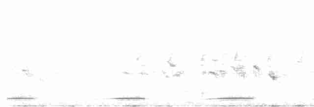 chřástalík kaštanovoprsý - ML608716326